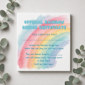 "Over the Rainbow" Bundle